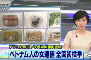Hình phạt nào dành cho nữ sinh Việt bị bắt vì mang trứng vịt lộn và nem chua vào Nhật Bản