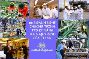 66 ngành nghề chương trình TTS theo quy định của JITCO